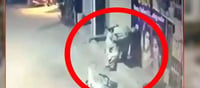 ముసలాడికి దసరా పండగ .. వీడియో వైరల్..